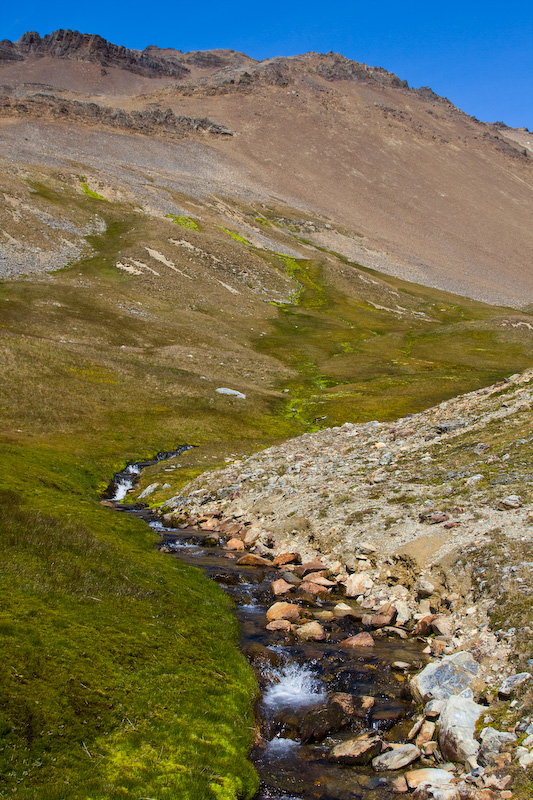 Stream And Hillside